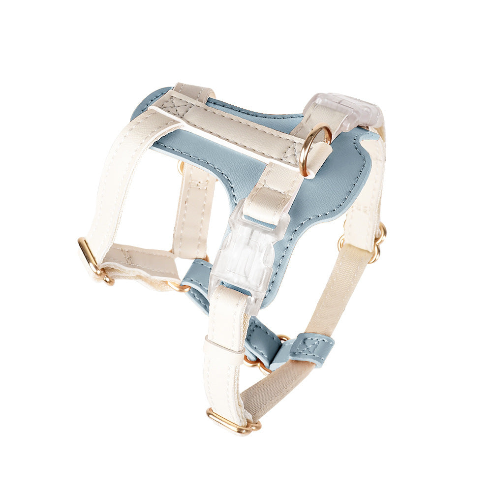 Saratoga Springs - Petit Edition | Harness - Blue