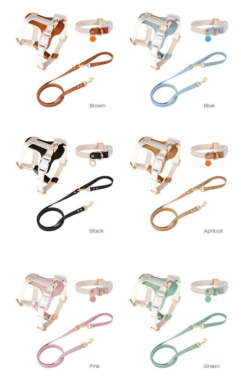 Saratoga Springs - Petit Edition | Leash - Pink