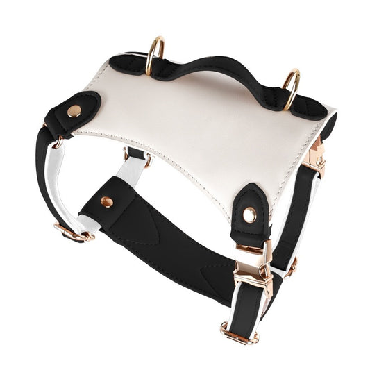 Saratoga Springs | Harness - Black