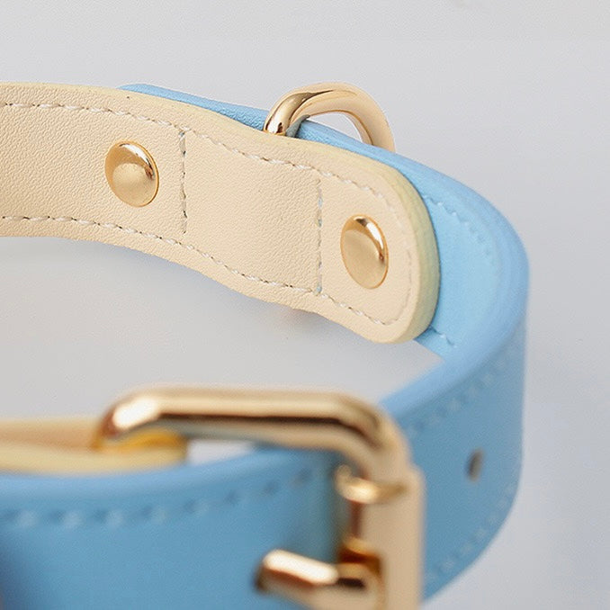 Central Park Luxe | Collar - Sky