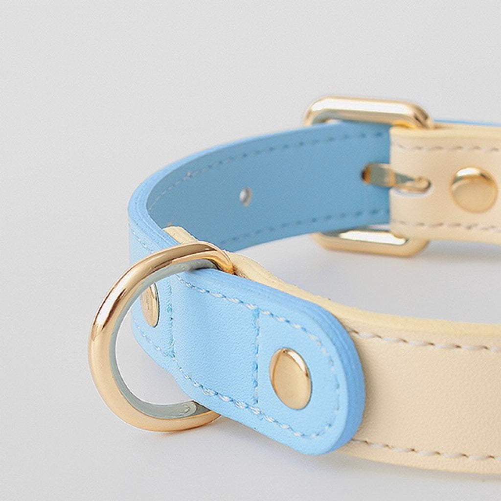 Central Park Luxe | Collar - Sky