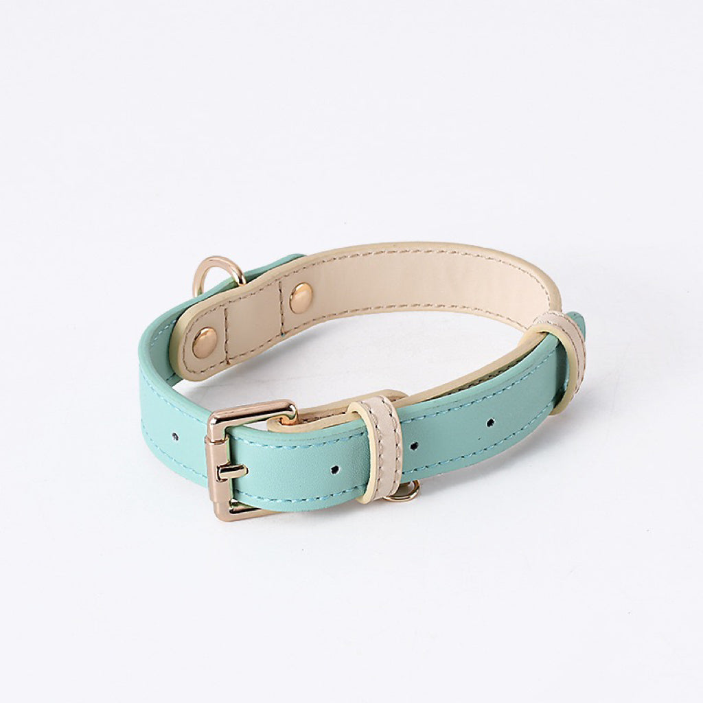 Central Park Luxe | Collar - Turquoise