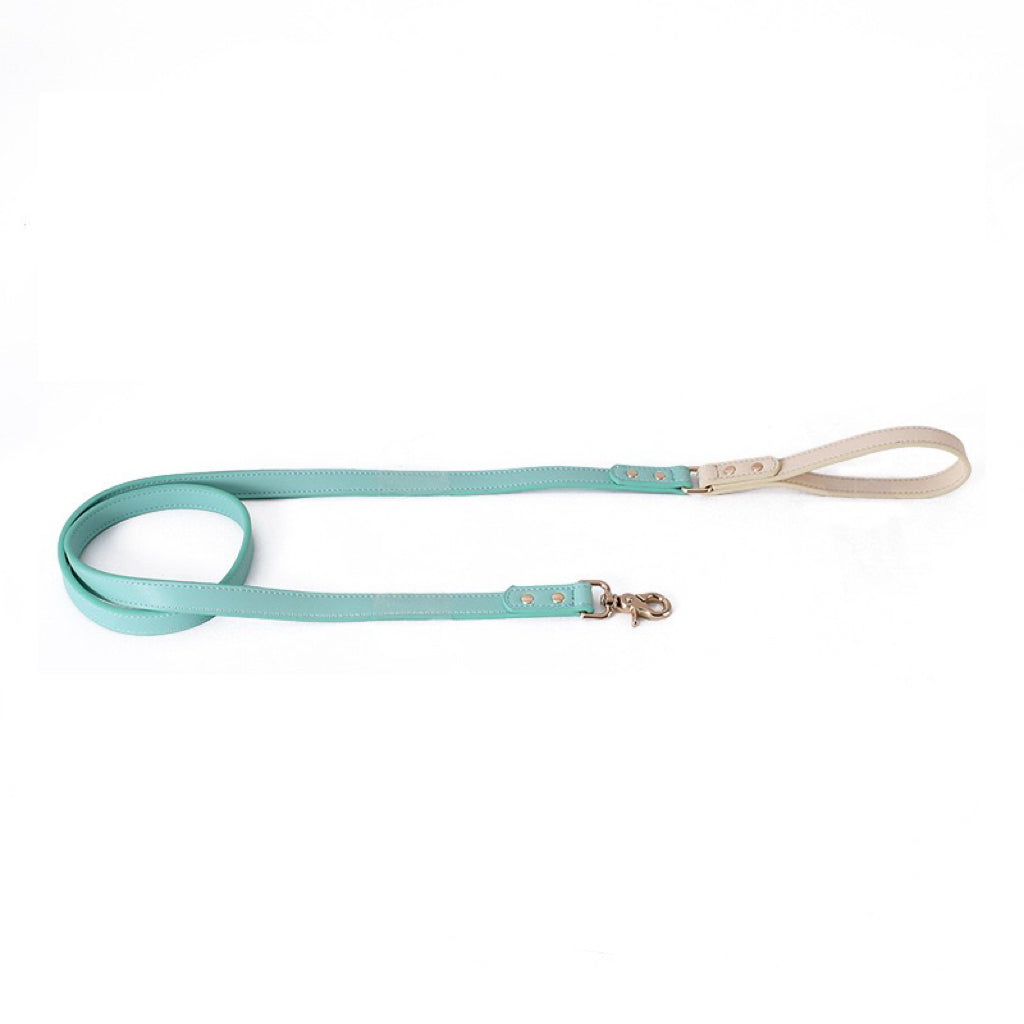 Central Park Luxe | Leash - Turquoise